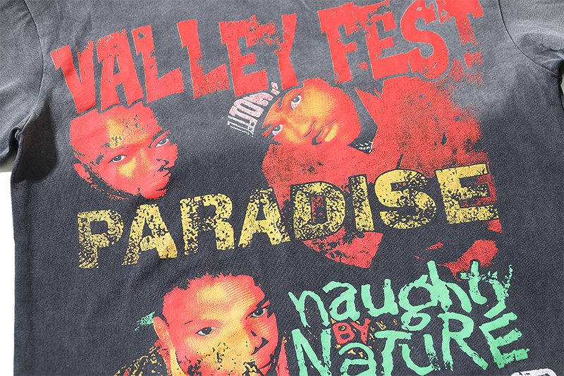 VALE USA Paradise Nature Washed Graphic T-Shirt — detail