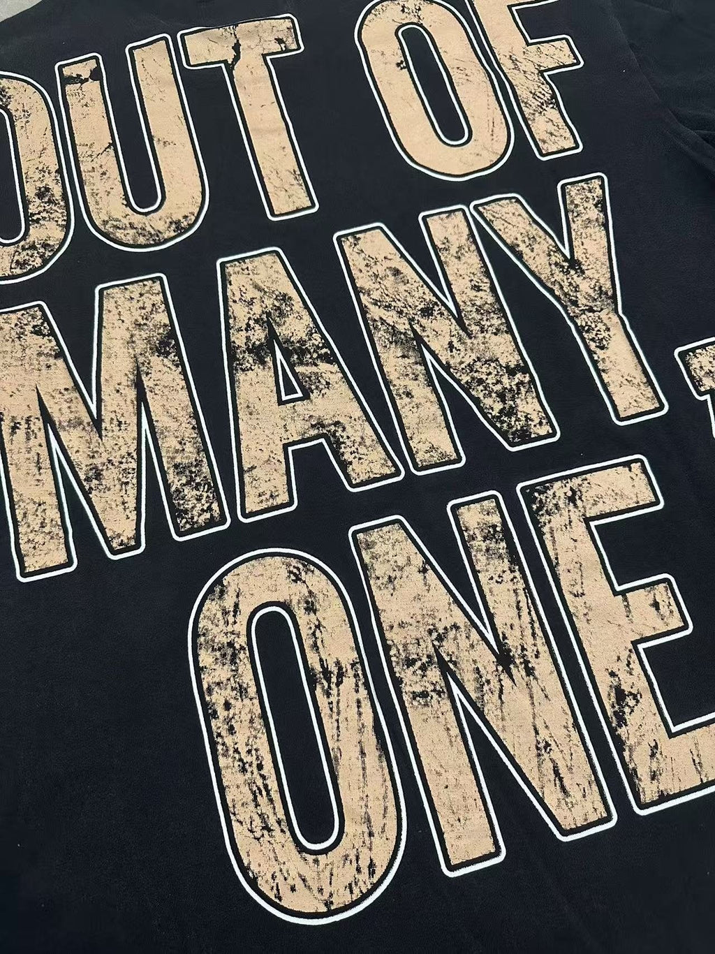 Godspeed Out of Many One Graphic T-Shirt — detail
