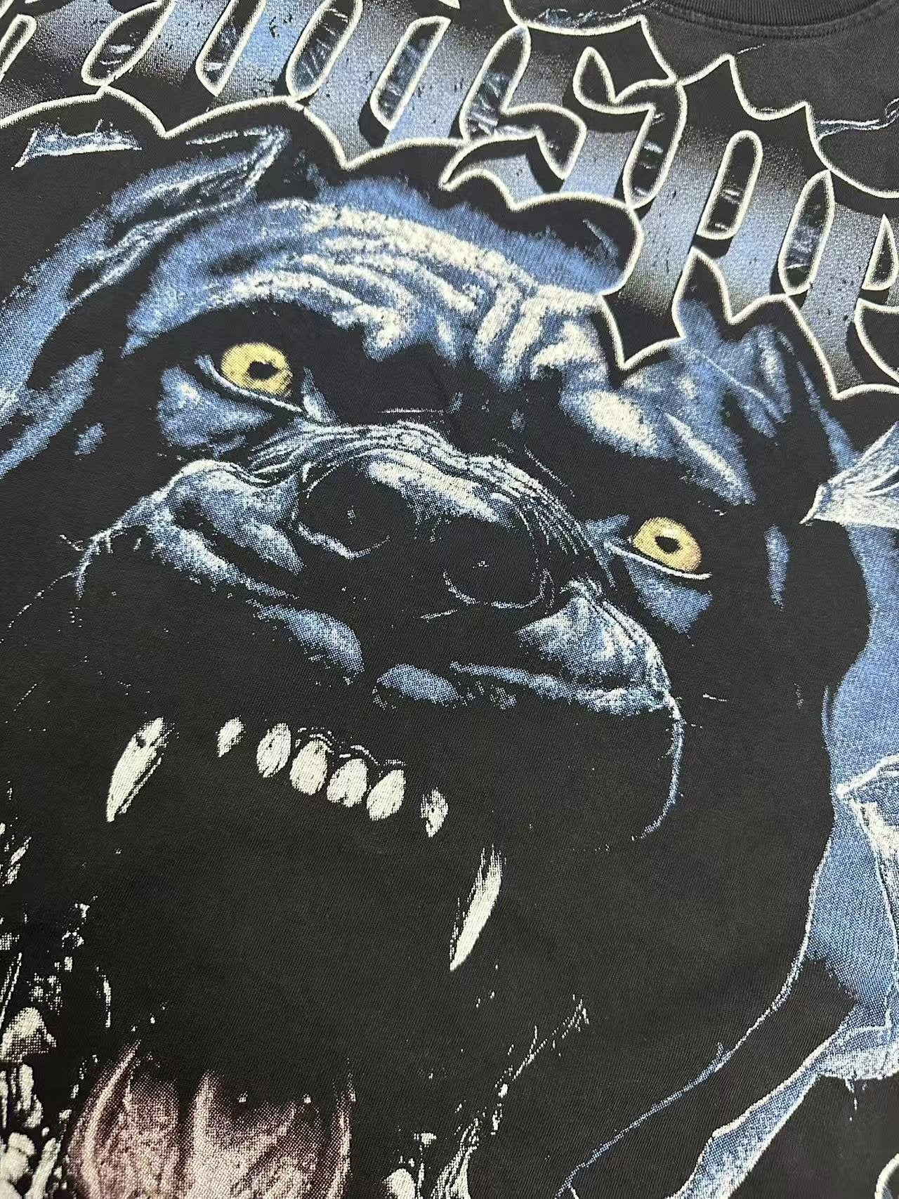 Godspeed Panther Graphic Washed Black T-Shirt — detail