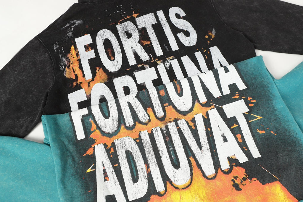 Godspeed Fortis Fortuna Adiuvat Skull Graphic Hoodie — context
