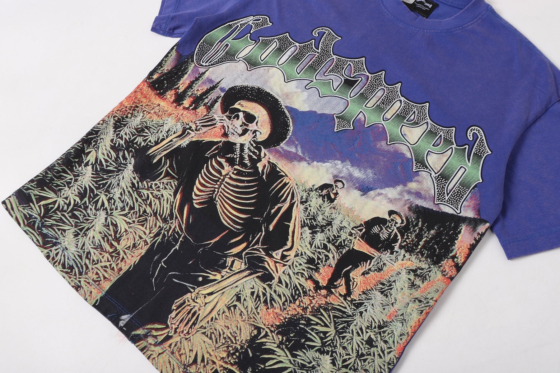 Godspeed Skeleton Landscape Graphic T-Shirt — detail