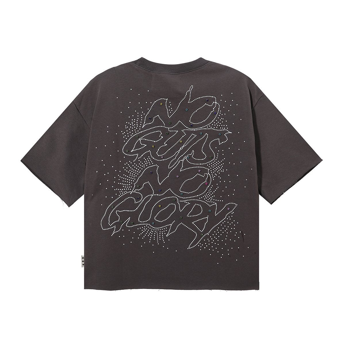 BKYS Revival No Gut No Glory Rhinestone Cropped T-Shirt — back