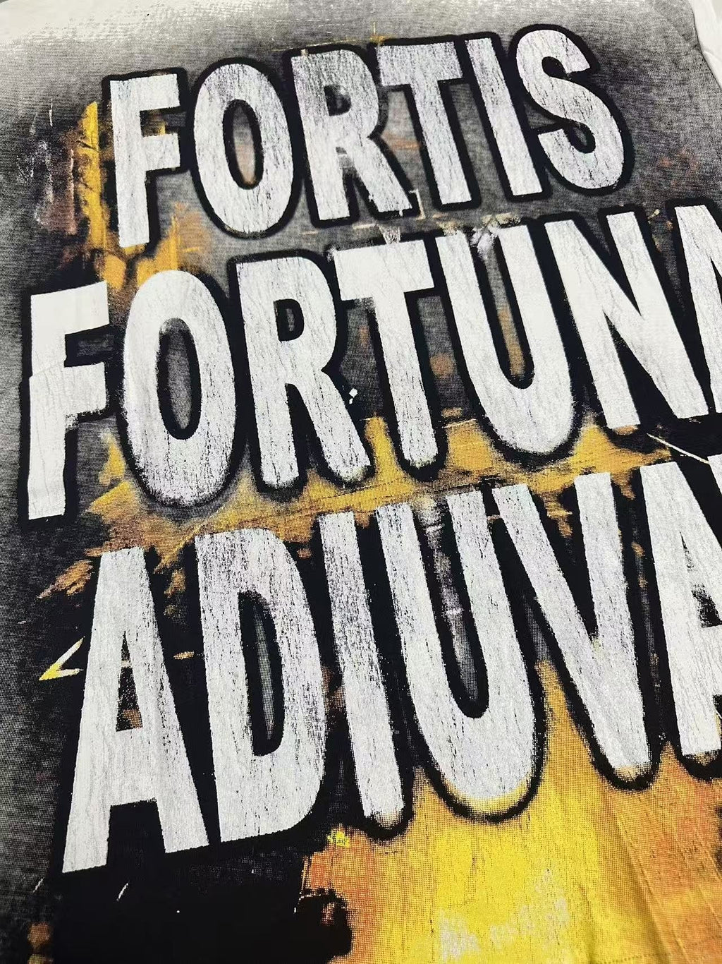 Godspeed Fortis Fortuna Adiuvat Graphic T-Shirt — detail