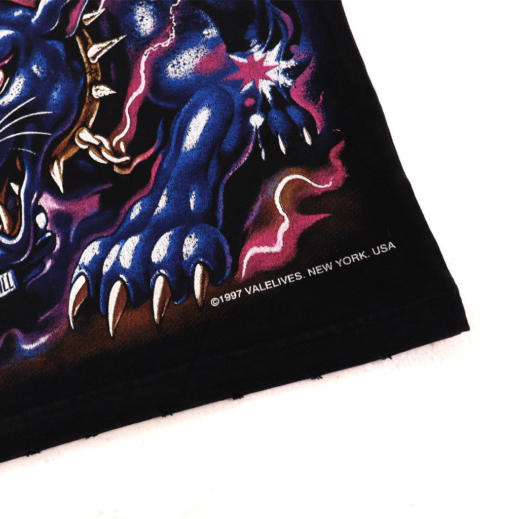 VALE USA Valley Dreams Graphic T-Shirt — detail