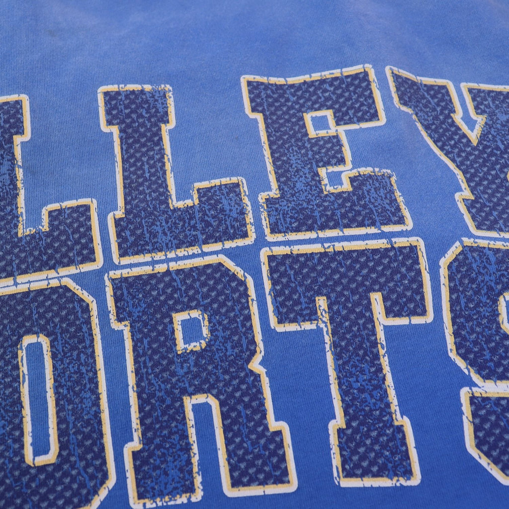 Valley Dreams Sports Division Graphic Short-Sleeve T-Shirt — detail