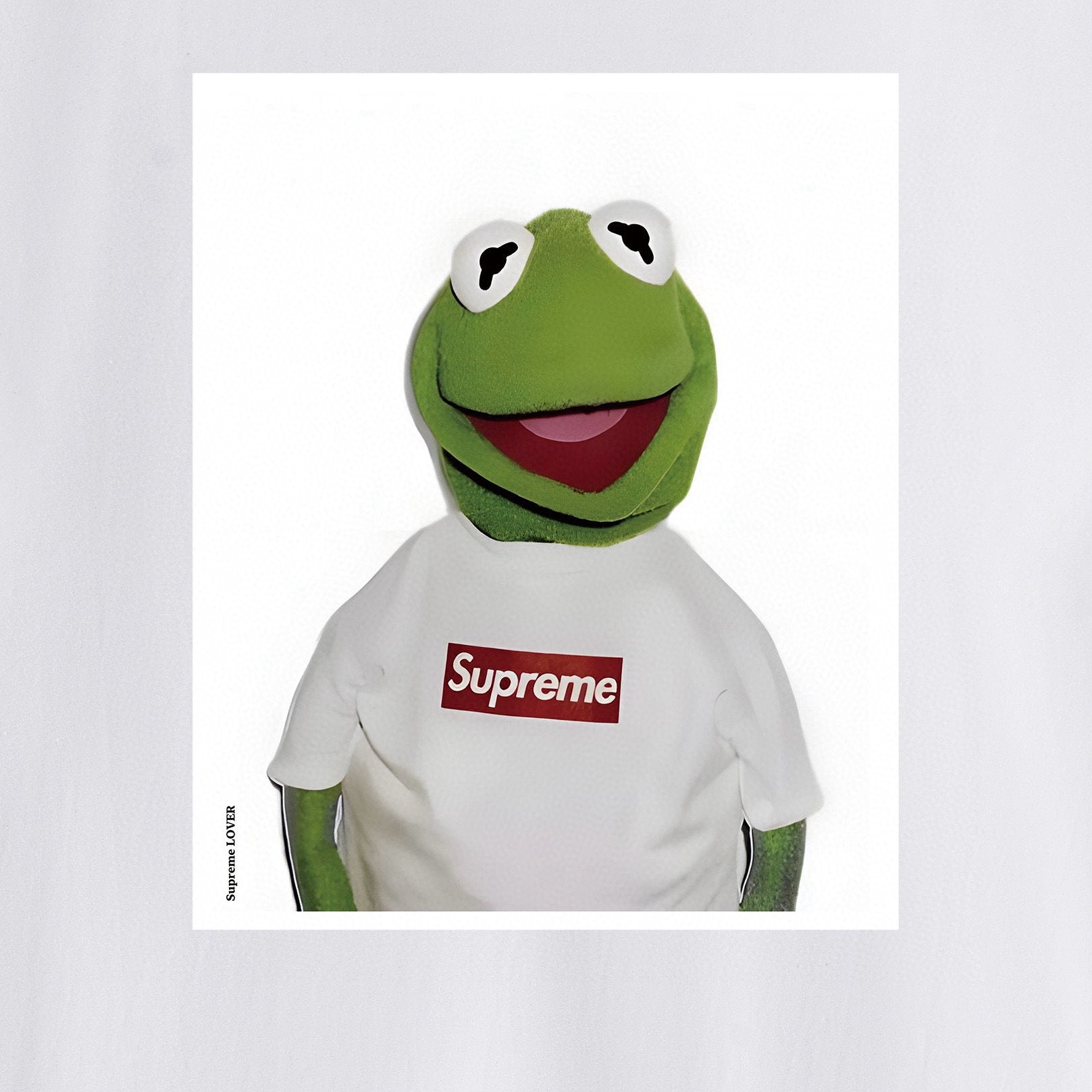 Supreme Kermit Photo Graphic T-Shirt — detail