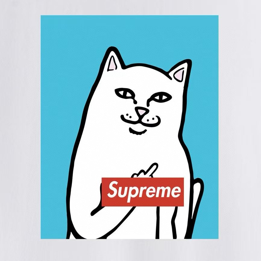 Supreme Cat Graphic Short-Sleeve T-Shirt — detail