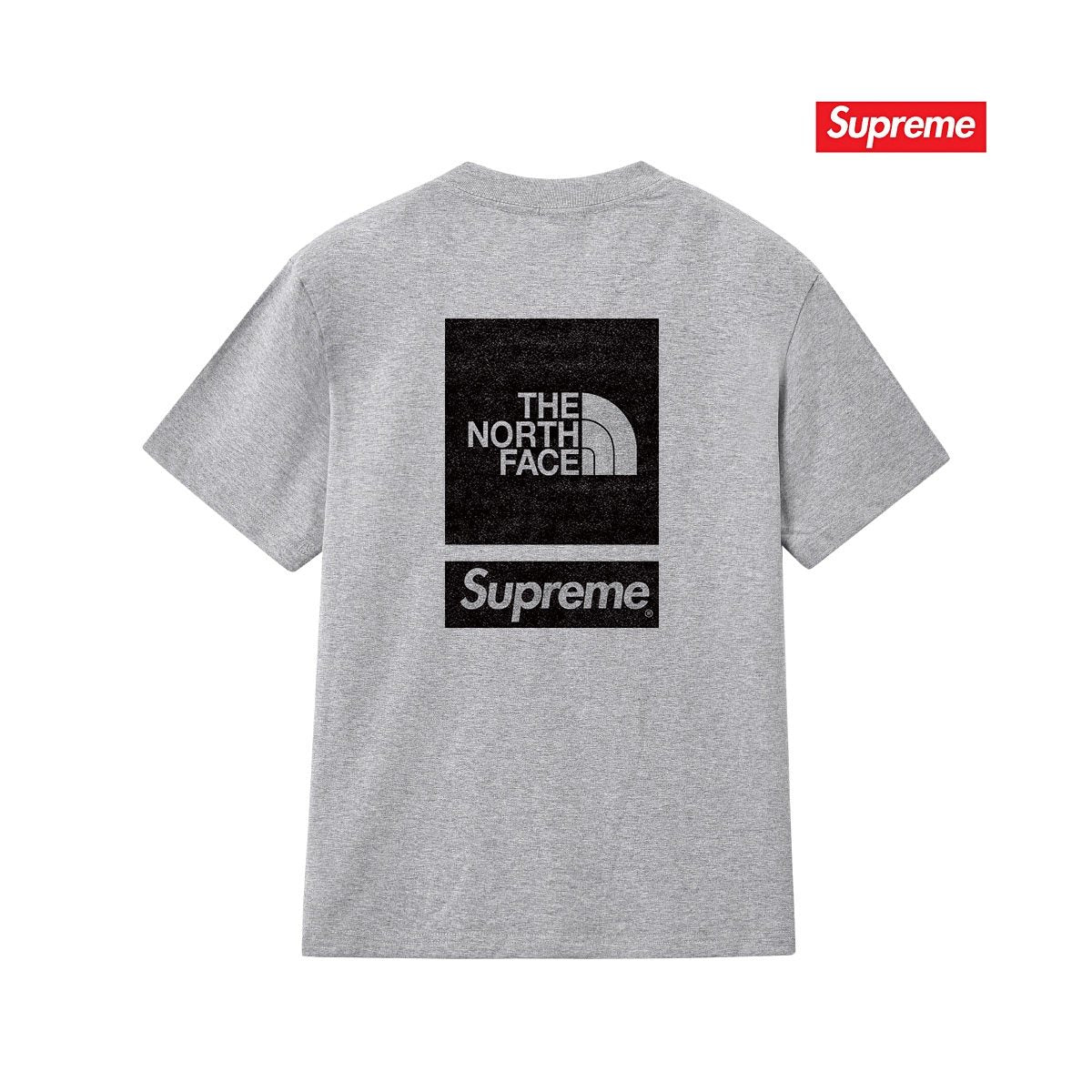 Supreme The North Face Back Logo Short-Sleeve T-Shirt — back
