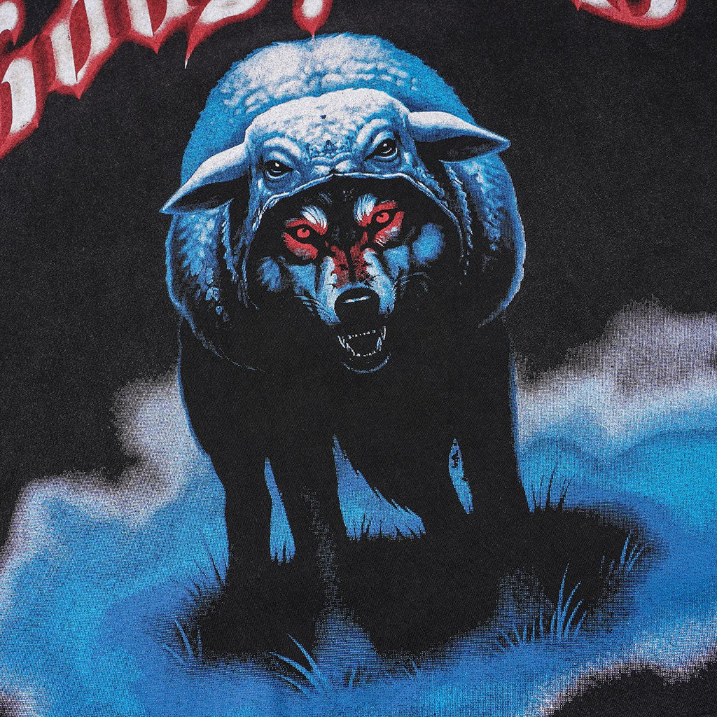Godspeed Out of Many One Graphic T-Shirt — detail