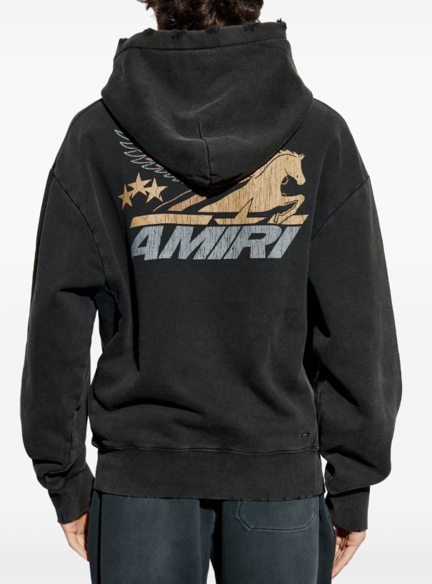 AMIRI Pegasus Graphic Hoodie — back