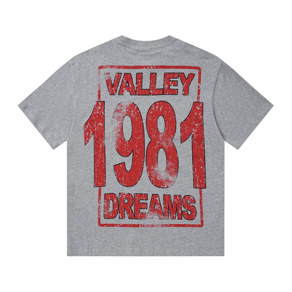 VALLEY 1981 Dreams Graphic T-Shirt — back