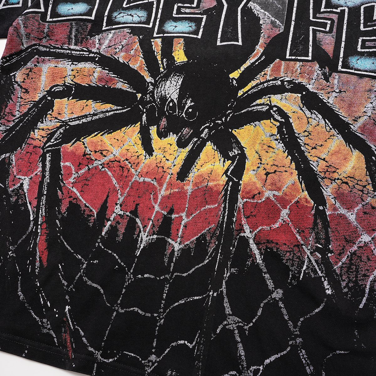 VALLEY Fest Spider Web Graphic T-Shirt — detail