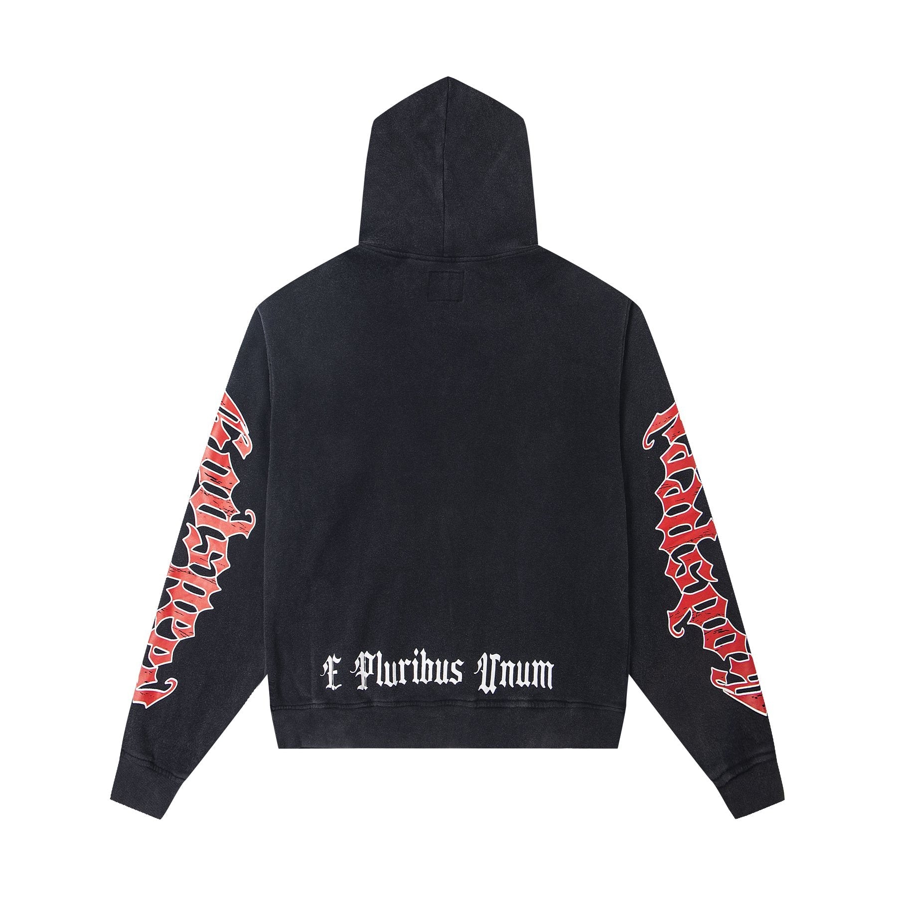 Godspeed E Pluribus Unum Graphic Hoodie — back