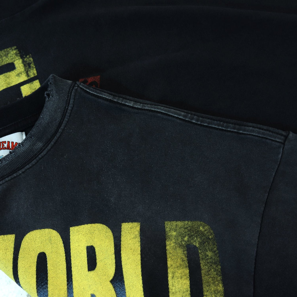 Valley Dreams Vale World Ride Graphic T-Shirt — detail