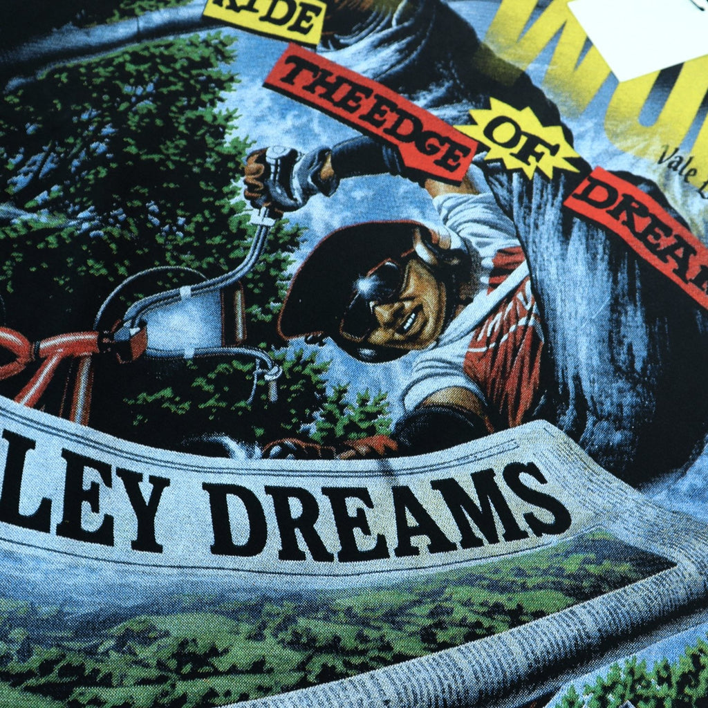 Valley Dreams Vale World Ride Graphic T-Shirt — detail