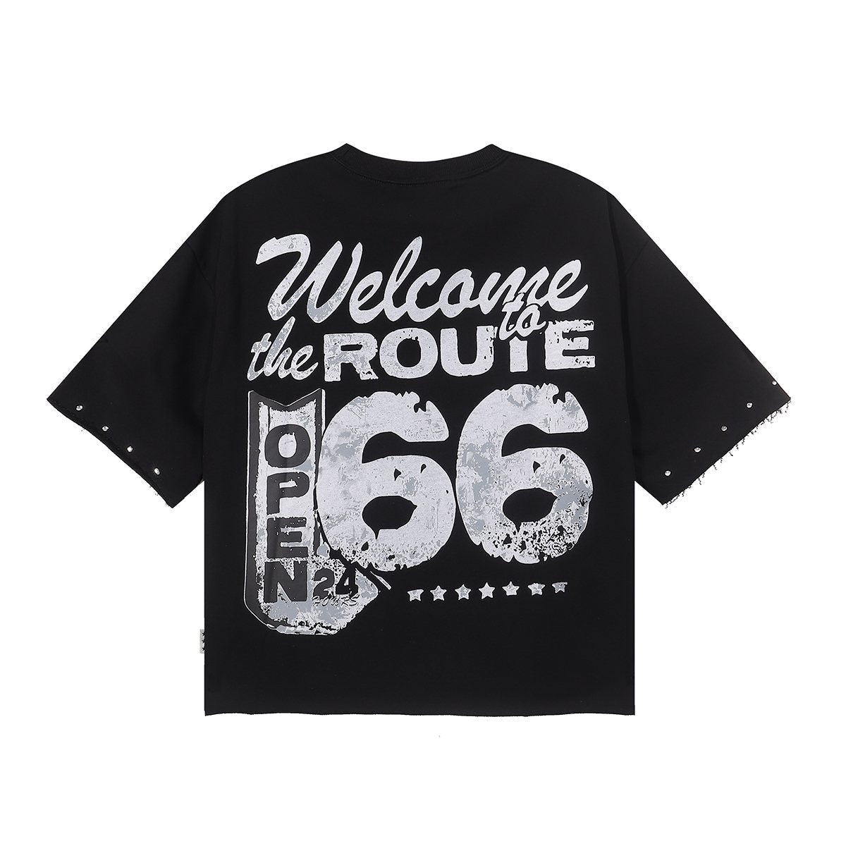BKYS Revival Ice Cold Route 66 Cropped Graphic T-Shirt — back
