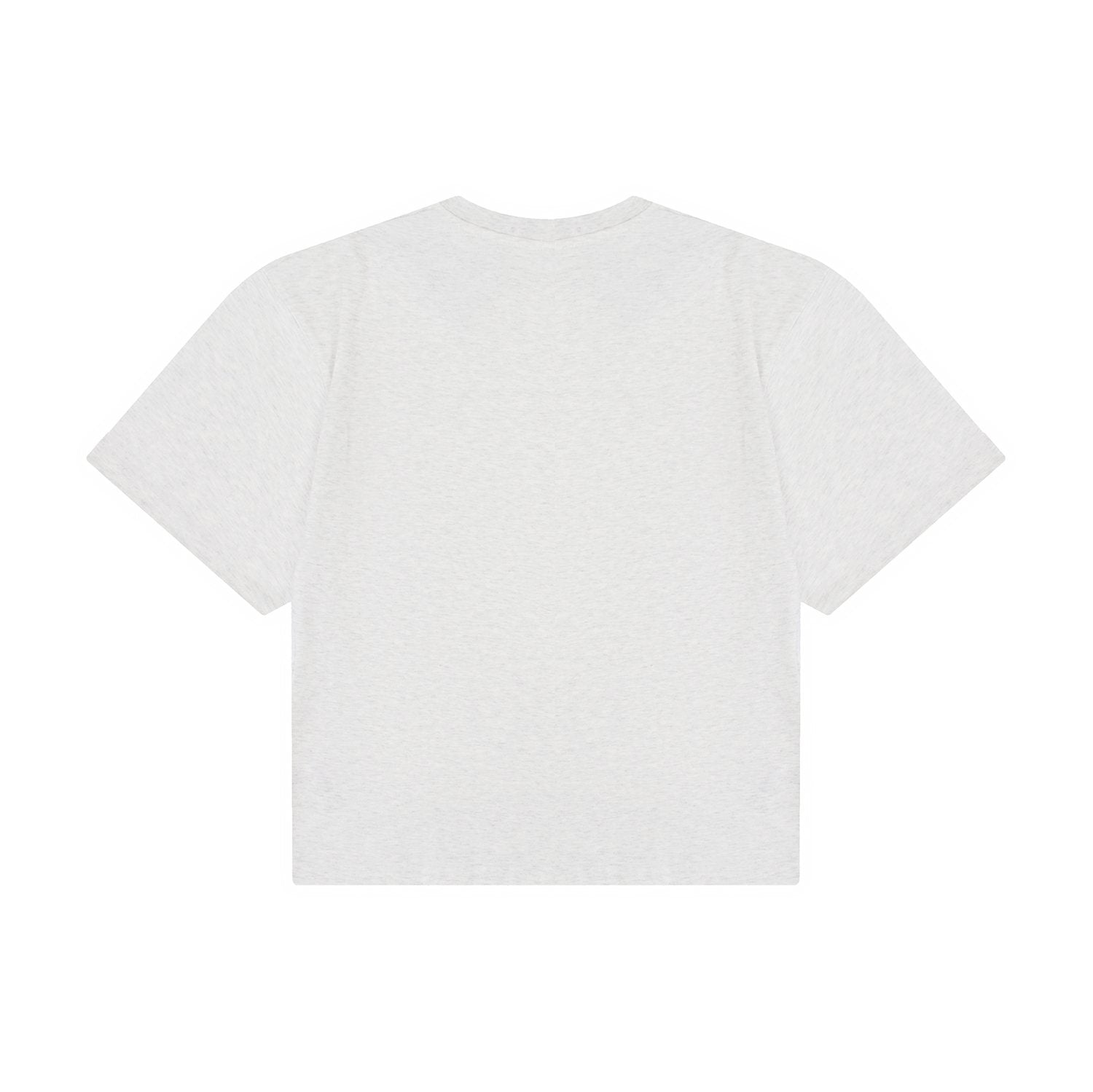 Test2-Ralph Lauren Embroidered Pony Oversized Drop-Shoulder T-Shirt — back